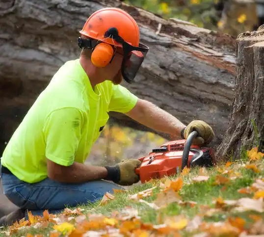 tree services North Babylon